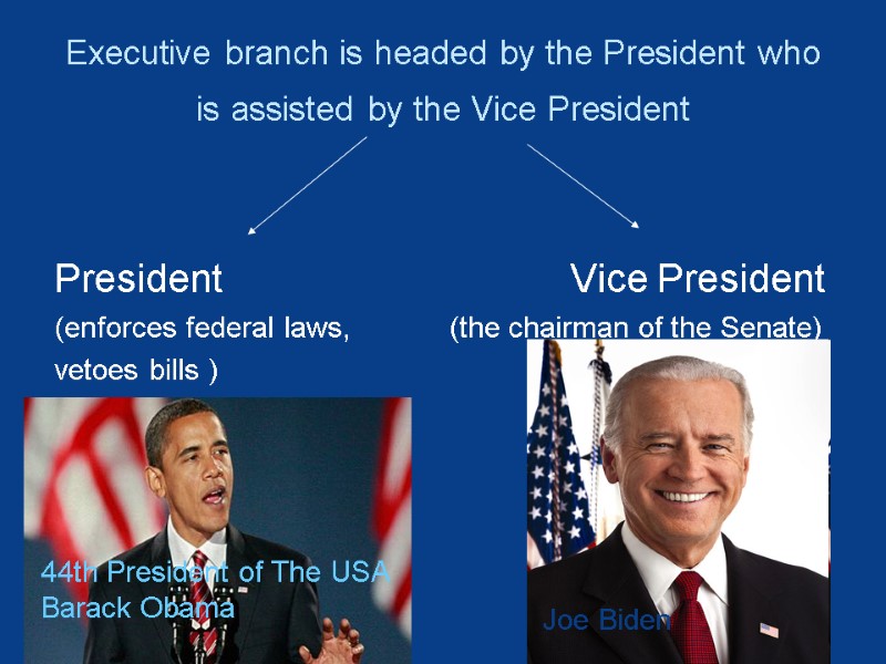 Executive branch is headed by the President who is assisted by the Vice President